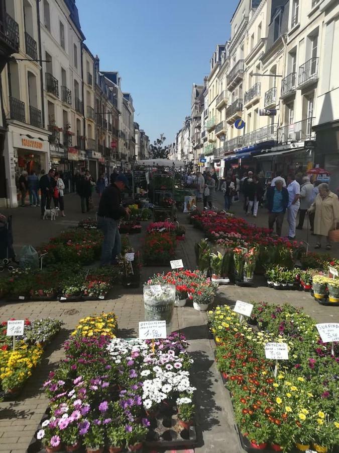 Bienvenue Sous Les Toits De Dieppe *** Hypercentre エクステリア 写真